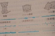 薬理学の教科書の挿絵の猫ちゃんが可愛すぎてビックリした