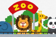 動物園ってよく考えなくても残酷だけどあんまり批判されないよな
