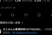 【悲報】イキヅライブまた炎上…今度はμ's原理主義を拗らせて…って公式がお人形遊びでやってんのかよ
