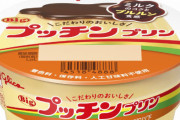 【悲報】プッチンプリン、また値上げ・・・