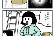【画像】漫画家さん、一人暮らし女子の怖い経験を漫画にする……