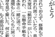 任天堂、95歳のおばあちゃん相手に「紙」対応してしまうｗｗｗｗｗ