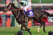 【一生に一度は行ってみたい】そうだ、有馬記念を観に中山競馬場に行こう