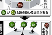放射性ストロンチウムを豚骨ガラに吸着させて除去　原子力機構と東大が開発　ー東京新聞