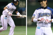 プロ野球史上最高の応援歌は日本ハム稲葉だけど2番目は？