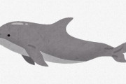 クジラは美味いらしいけどイルカが美味いって聞いたことないのにイルカ漁する必要あるんか