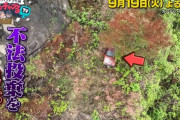 【悲報】廃墟マニアに人気の廃車、テレビ番組が撤去し炎上する