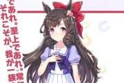 【ウマ娘】次回ガチャ更新で『ダイイチルビー』が登場！お嬢ｷﾀ━━━━(ﾟ∀ﾟ)━━━━!!