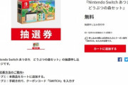 マイニンテンドーストアも｢Nintendo Switch あつまれどうぶつの森セット｣を抽選で販売