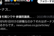 【速報】蓮舫さんは、6月1日時点で在職の議員が貰えるボーナス310万円待ちしてないよね？過去に受取辞職した議員を猛批判