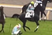 【動画】 東京7R、発走前にマンドローネとダブルスナッチが衝突　落馬の横山武史騎手が緊急搬送、ダブルスナッチは放馬
