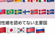 【衝撃】同性婚を認めている主要国、認めていない主要国一覧………