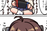 【正論】X民「ゲームの武器が壊れるシステム、冷静に考えている？」←9000いいねw