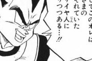 ベジータ「オレは超サイヤ人になりつつある…！」