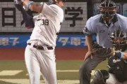 オリックス来田涼斗とかいう吉田正尚いなくなったあとの最後の希望www