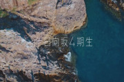 【速報】日向坂46 4期生は12名！！　明日12:00より1名ずつプロフィール動画を公開！