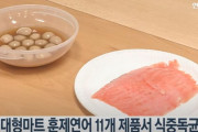 【悲報】韓国人「燻製鮭11製品から食中毒菌を検出！」韓国で流通している燻製鮭から「リステリア・モノサイトゲネス」が検出される　韓国の反応