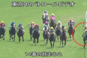 【悲報】東京4Rで木幡育也騎手が落馬負傷し救急搬送、馬は予後不良
