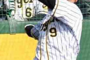 福留、糸井…阪神のベテラン勢を脅かす！？　高山の広角打法と精神力