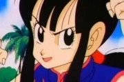 「ドラゴンボール」の匿名希望ちゃんっていう女の子、めっちゃ可愛くない？？？