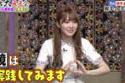 【日向坂46】加藤史帆、柏木由紀の握手会テクニックを実践！？wwww【有吉大反省会】