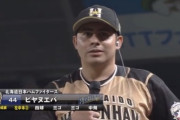 【朗報】日ハム・ビヤヌエバ、通訳より日本語がうまい