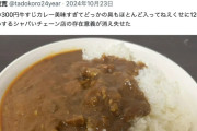 【悲報】カレーの感想を書いただけでヤバい奴にいきなり絡まれるwwwwwwwwww