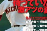 森木畔柳達小園のいない甲子園