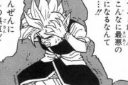 【ドラゴンボール】界王神「フリーザ程度ならワンパン余裕」←これさぁｗｗｗ