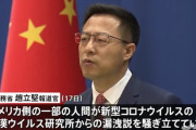 【ｗ】中国外務省「武漢の研究チームは新型コロナ研究でノーベル医学生理学賞を受けるべき」
