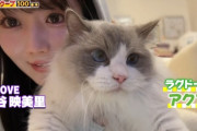 【＝LOVE】大谷映美里の愛猫アクアくん、衝撃の地上波デビュー🐈