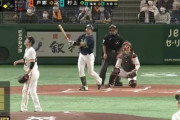 【第4号】ヤクルト村上、今季4本のヒットが全てホームランwwwww