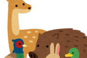 遭遇した野生動物（国内限定）