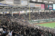 WBC準々決勝オーストラリア VS キューバ、客入ってる
