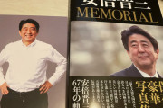 (ヽ´ん`)「安倍晋三に5000円近く課金したけど後悔してる」