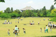 除鮮が必要　～　奈良公園でKーPOP無料ライブ　県の事業費2億円超に疑問の声も