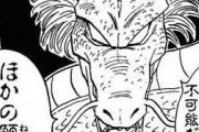 【唖然】「ドラゴンボール」で願いをかなえてもらえるとしたら？？？