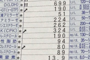 【検査結果あり】ワイの肝臓、生きてるのが不思議なレベルでヤバい事になる