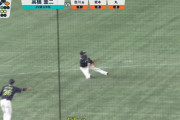 ヤクルト・エスコバーの華麗な守備　やっぱうめーわ