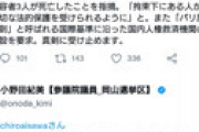 自民党・あいさわ一郎「国連から不法滞在者の保護の要求が来ている」　小野田紀美「送還して下さい」