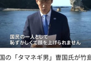 【悲報】韓国人「日本政府と日本メディアが、韓国の玉ねぎ男を総攻撃中‥」　韓国の反応