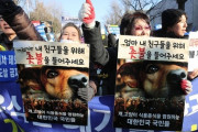 【韓国の反応】"犬は家畜" 畜産法施行令に青瓦台前で犬肉賛否集会
