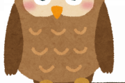 【画像】雨が降った日のフクロウの姿が衝撃的すぎる・・・