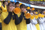 【画像】流通経済大柏の応援団の女子高生が可愛いｗｗｗｗｗｗｗｗ