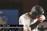 ロッテ安田 .230 4本 23打点 OPS.745