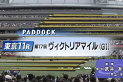 ヴィクトリアマイルのパドック診断