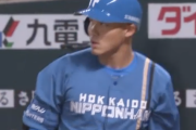 【悲報】日ハム王柏融さん、ひっそりと3タコ2三振