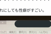 【悲報】パソコンを画面共有したら大変な事になった・・・・