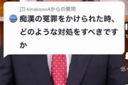 【朗報】カリスマ弁護士岡野武さん「痴漢冤罪にあったら逃げろ！！」