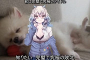 【Vtuber】この才能を世界平和とかSDGSとかに使えんか